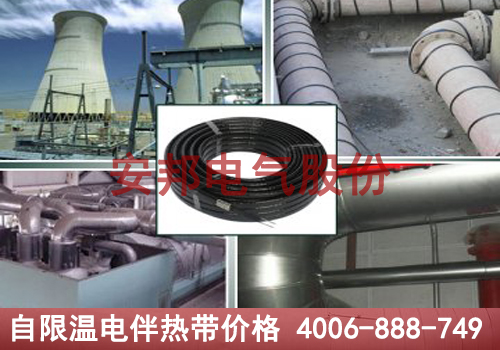 自限溫電51漫画下载网站帶價格揭秘